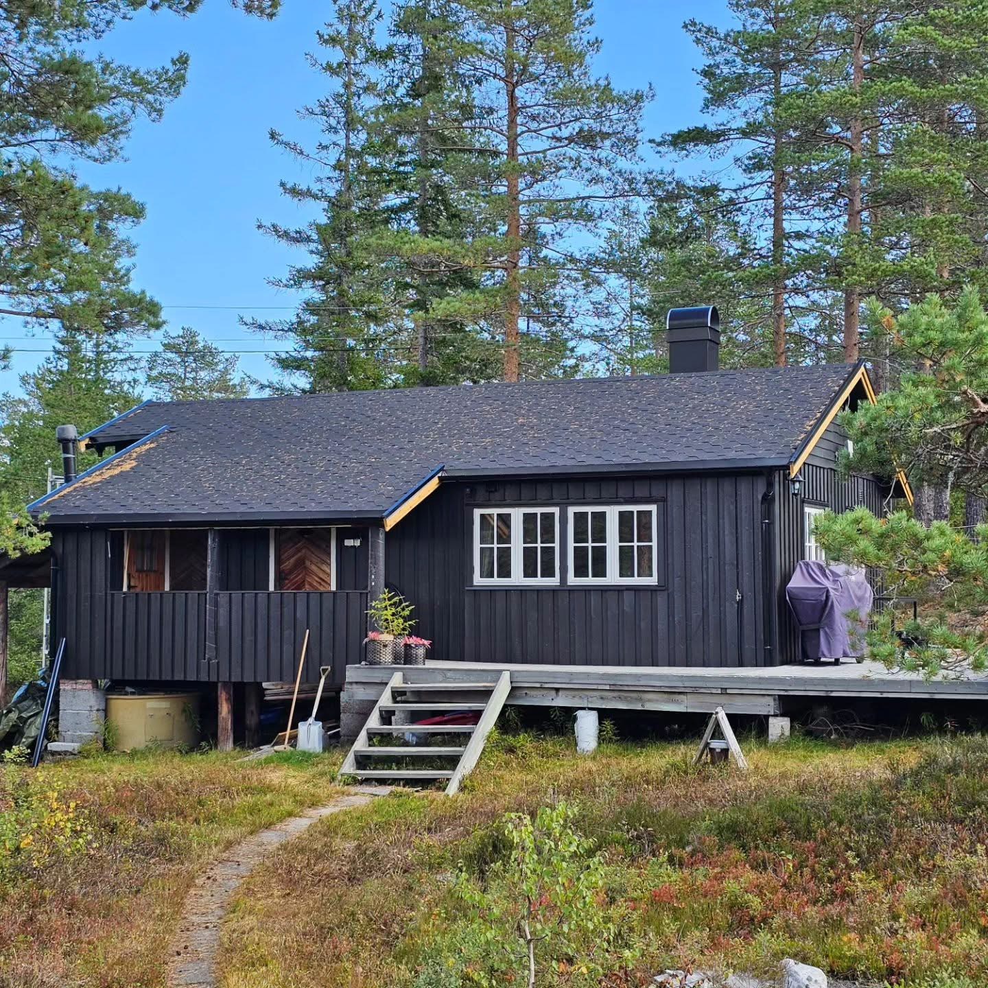 Mørk tømmerhytte i furuskog — tømrer Flesberg og Blefjell
